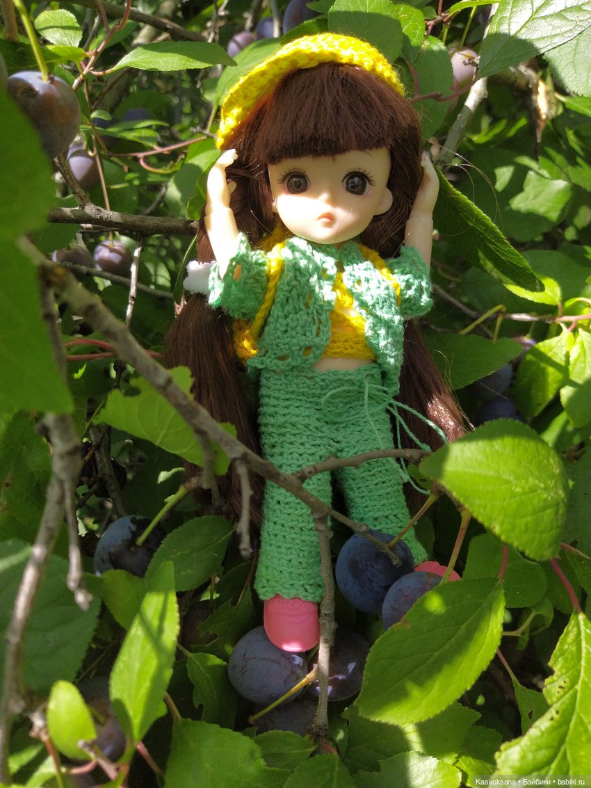 Яськины заметки: во саду ли, в огороде (фото 8)