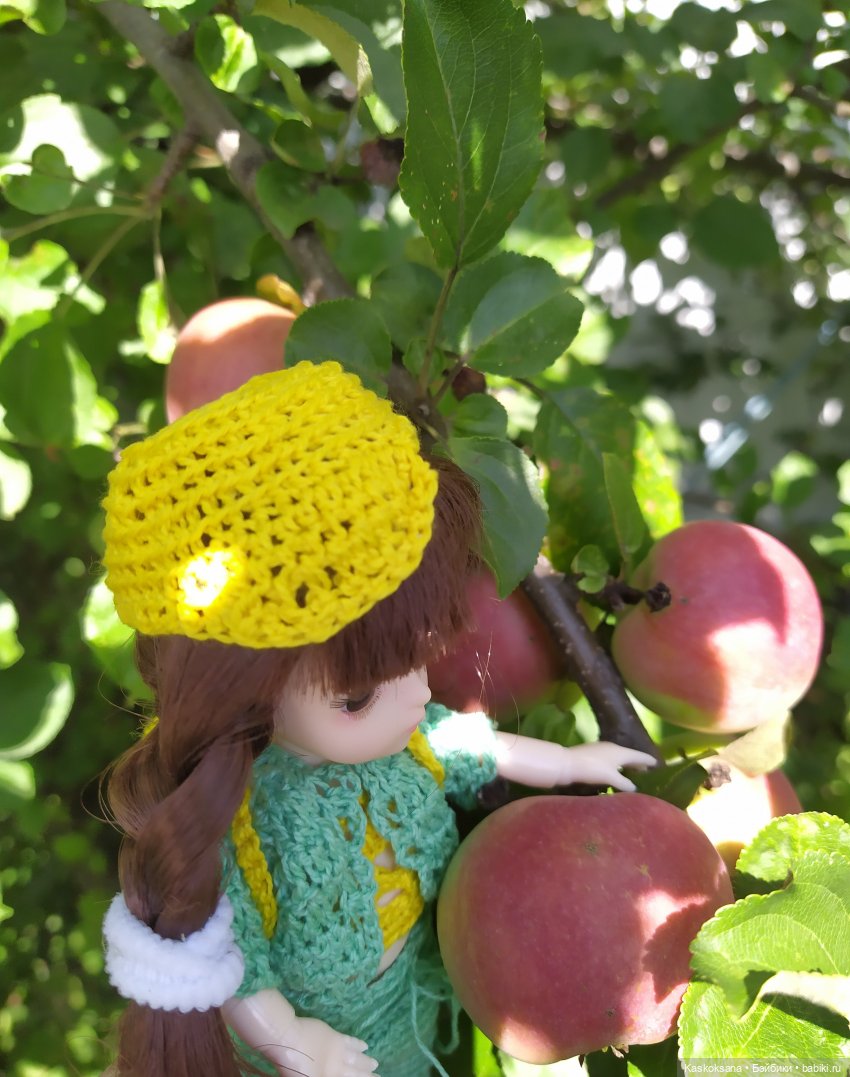 Яськины заметки: во саду ли, в огороде (фото 4)