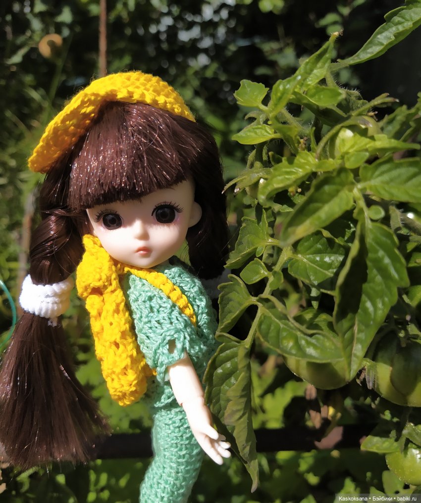 Яськины заметки: во саду ли, в огороде