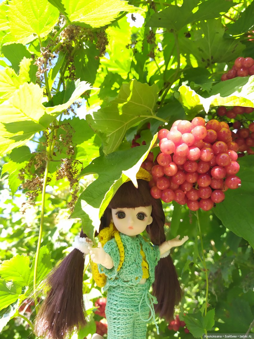 Яськины заметки: во саду ли, в огороде