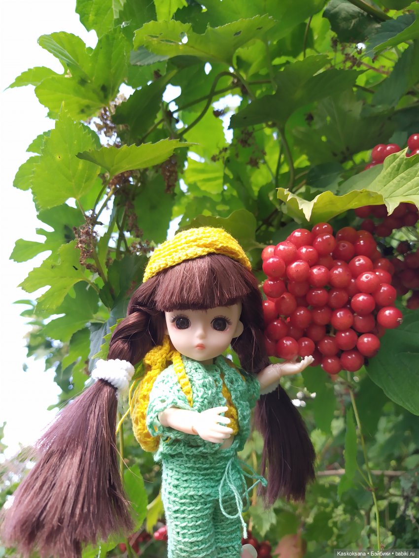 Яськины заметки: во саду ли, в огороде