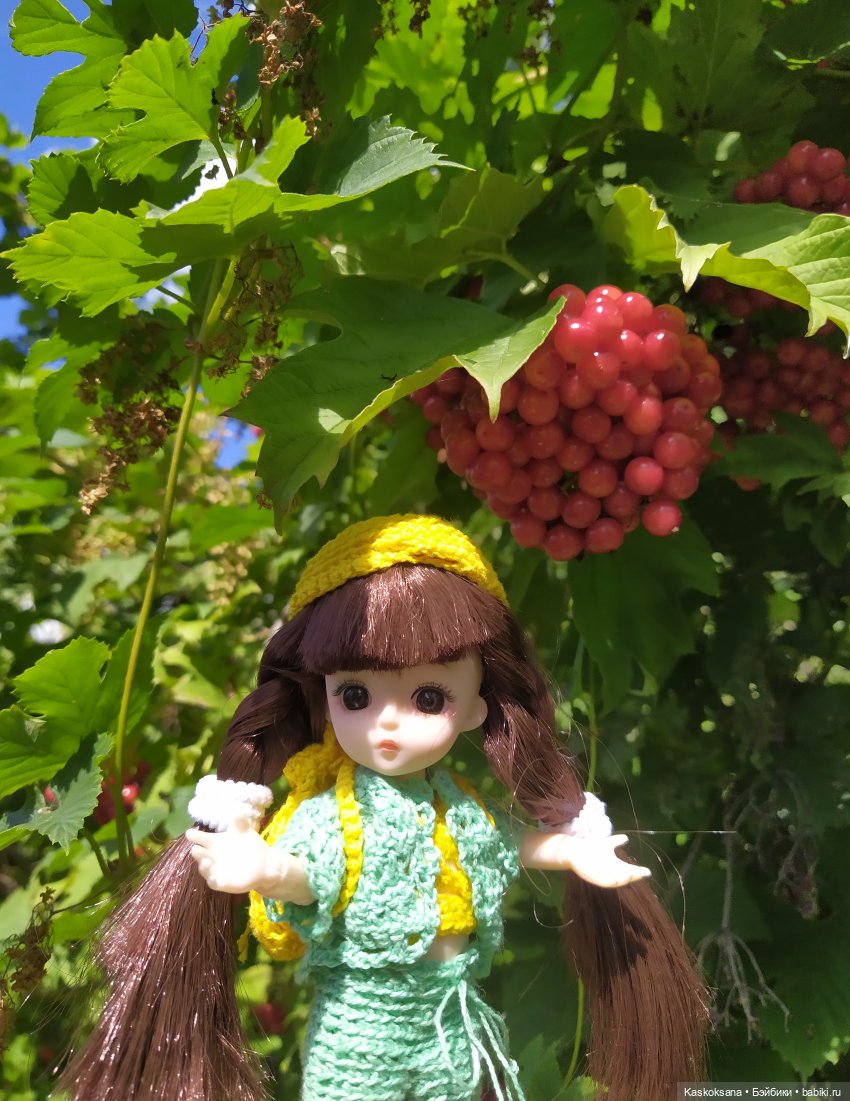 Яськины заметки: во саду ли, в огороде