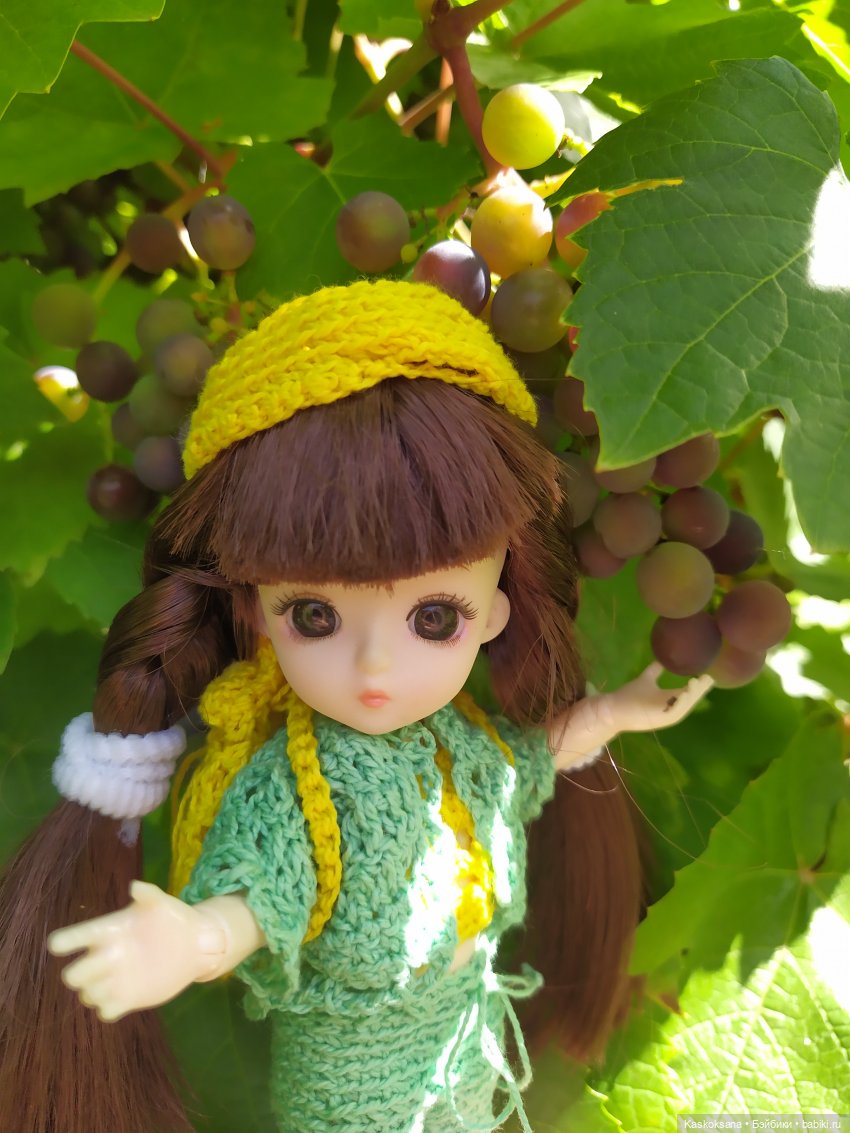 Яськины заметки: во саду ли, в огороде