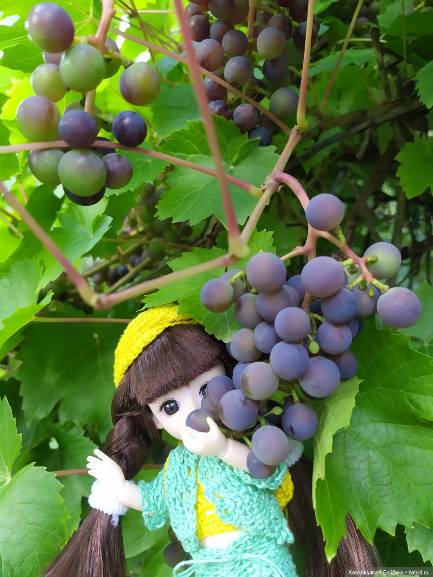 Яськины заметки: во саду ли, в огороде