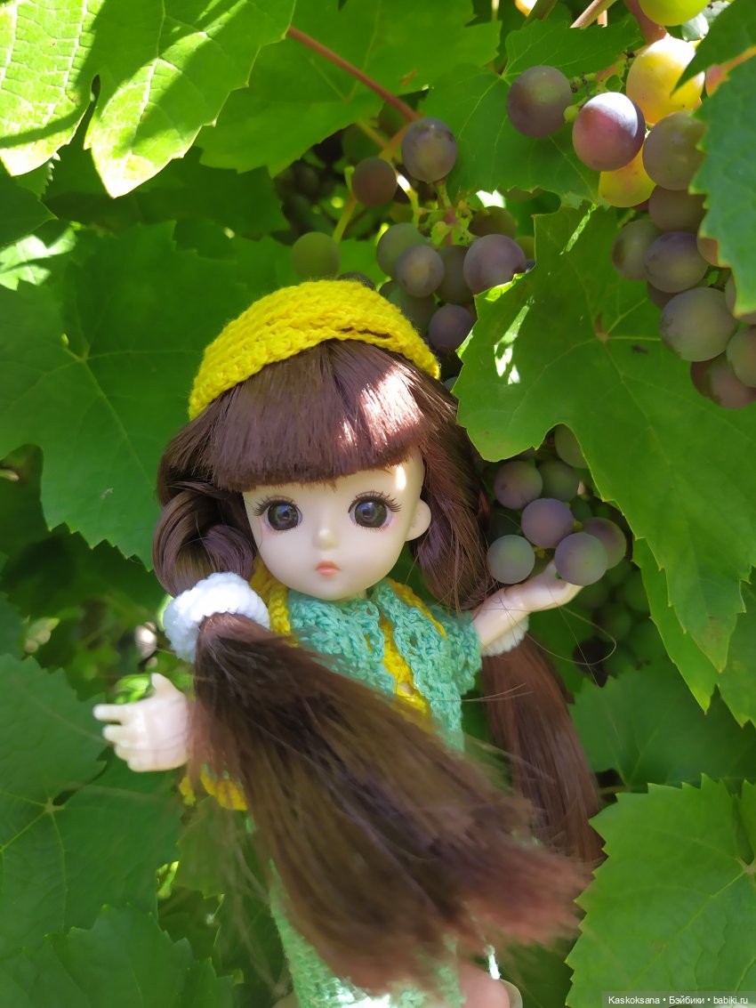 Яськины заметки: во саду ли, в огороде (фото 10)