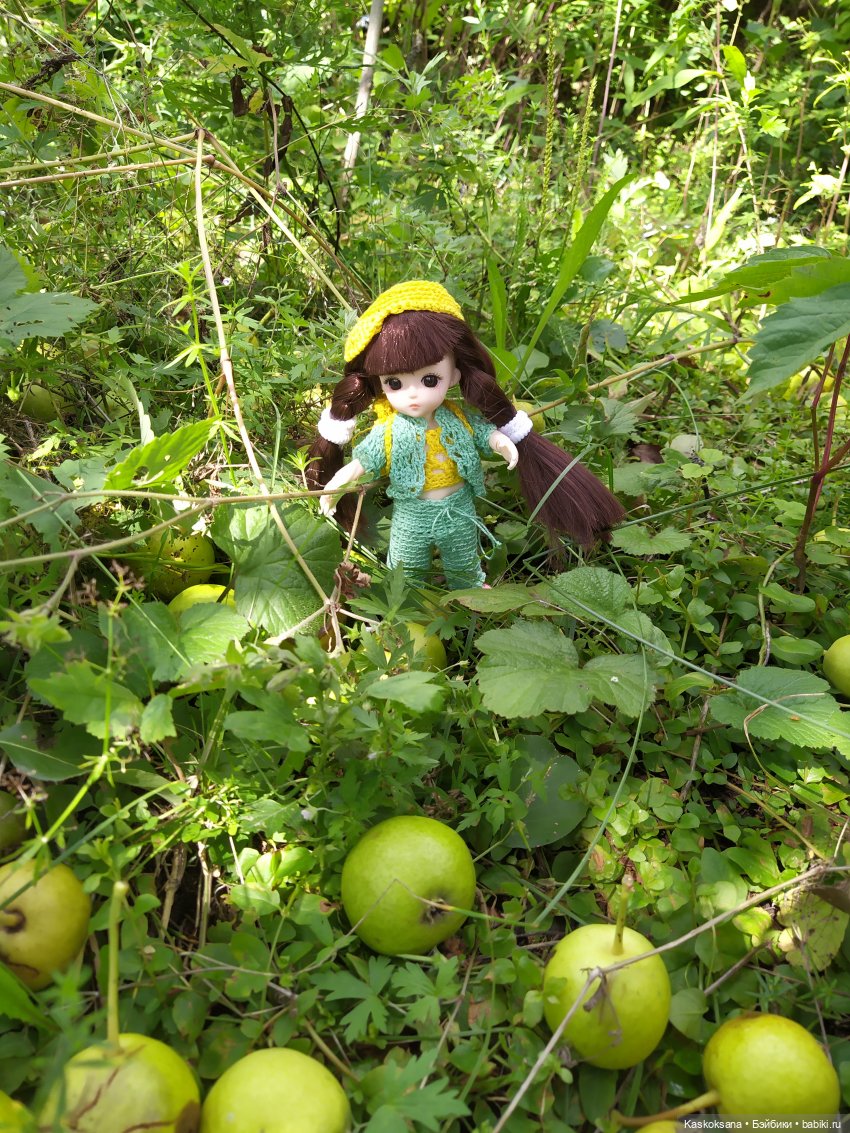 Яськины заметки: во саду ли, в огороде