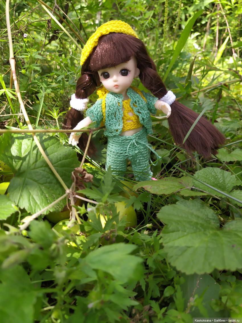 Яськины заметки: во саду ли, в огороде