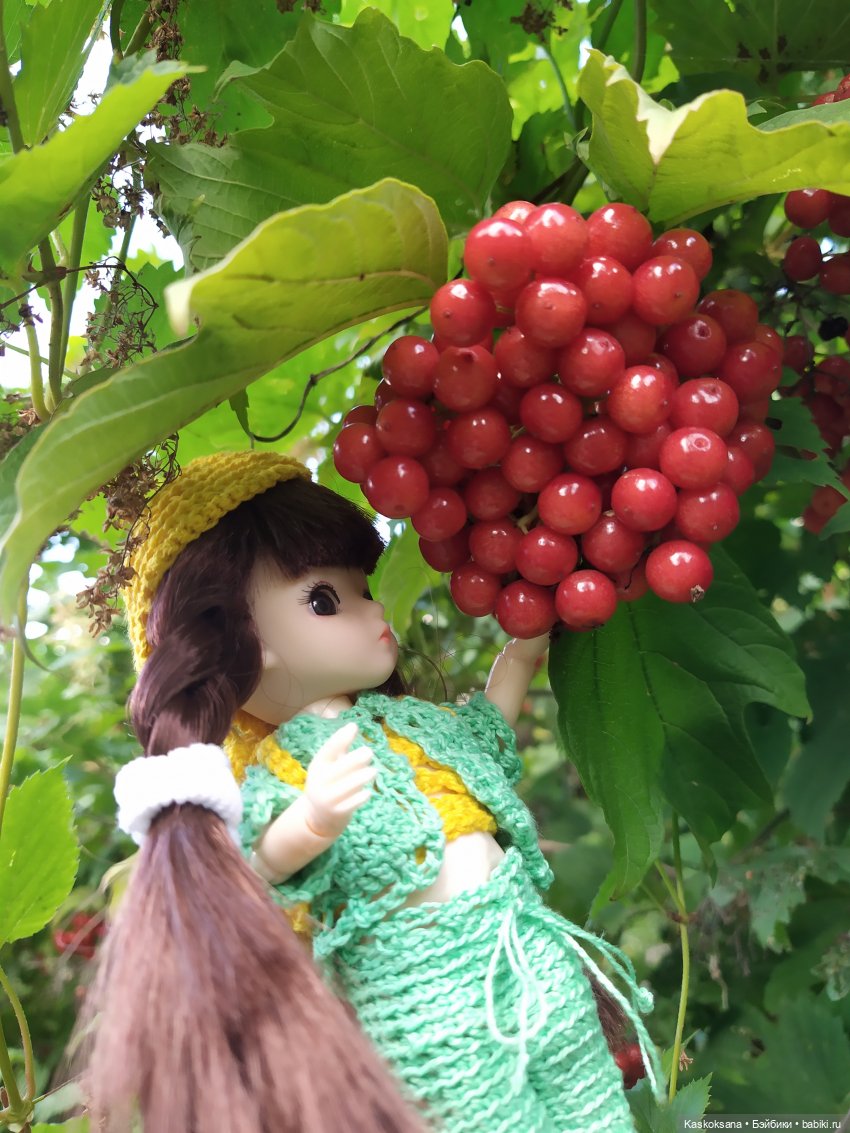 Яськины заметки: во саду ли, в огороде