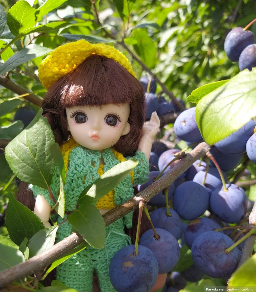 Яськины заметки: во саду ли, в огороде (фото 7)