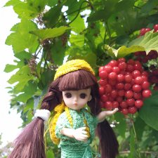 Яськины заметки: во саду ли, в огороде