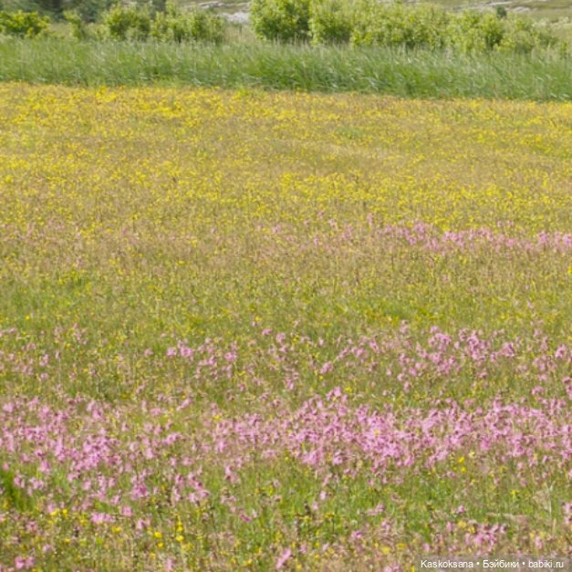 Неожиданный роман. Валера#12 | Бэйбики Неожиданный роман. Валера#12