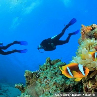 Неожиданный роман. Валера#12 | Бэйбики Неожиданный роман. Валера#12