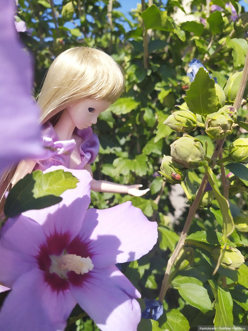 Волшебный подарок для Муй (фото 7)