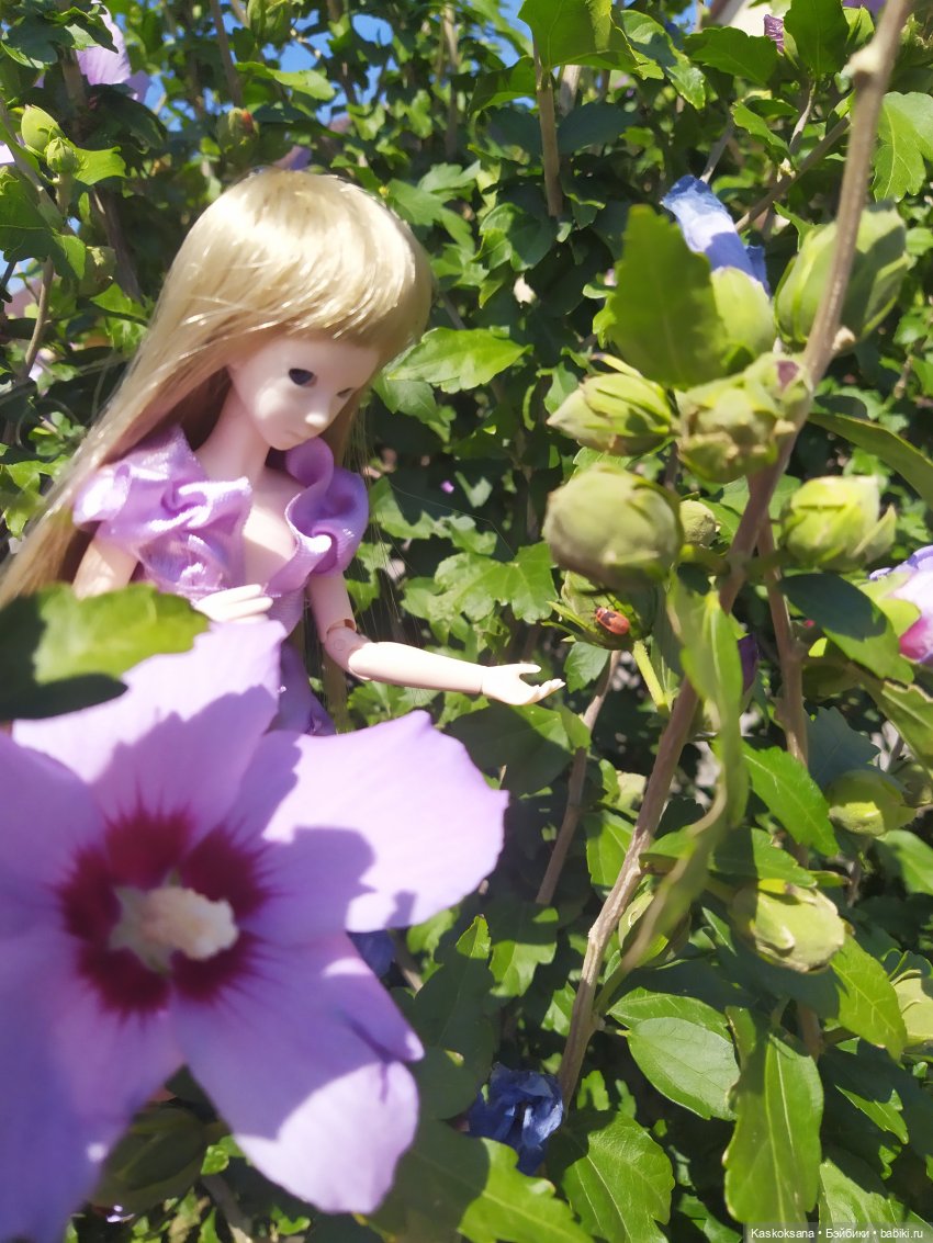 Волшебный подарок для Муй (фото 6)