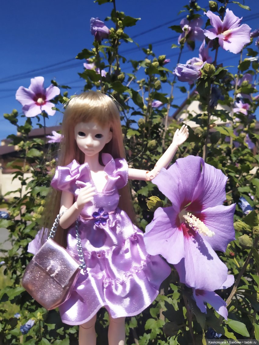 Волшебный подарок для Муй