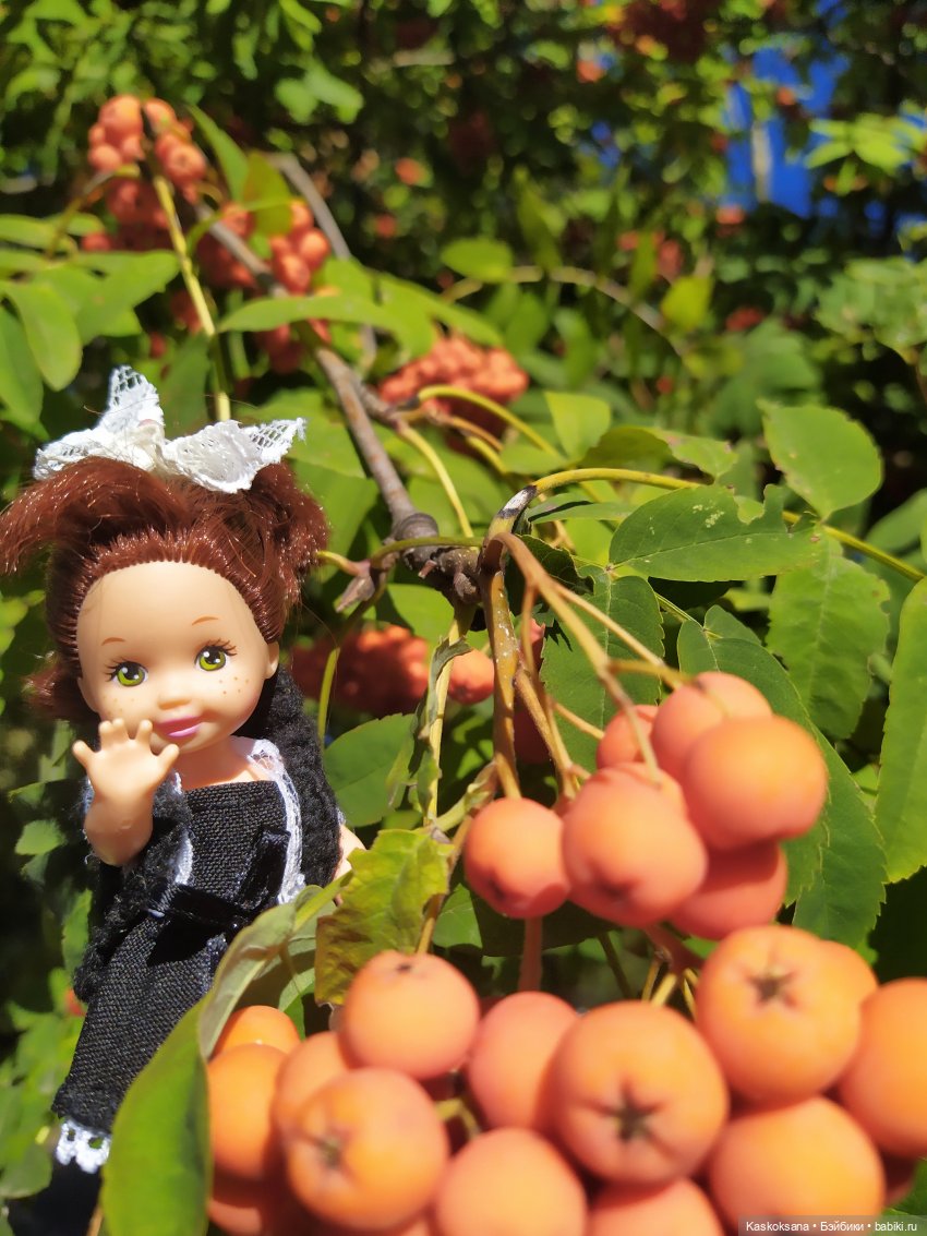 Августа в сентябре — Куклы Kelly (Келли): Сестра Барби