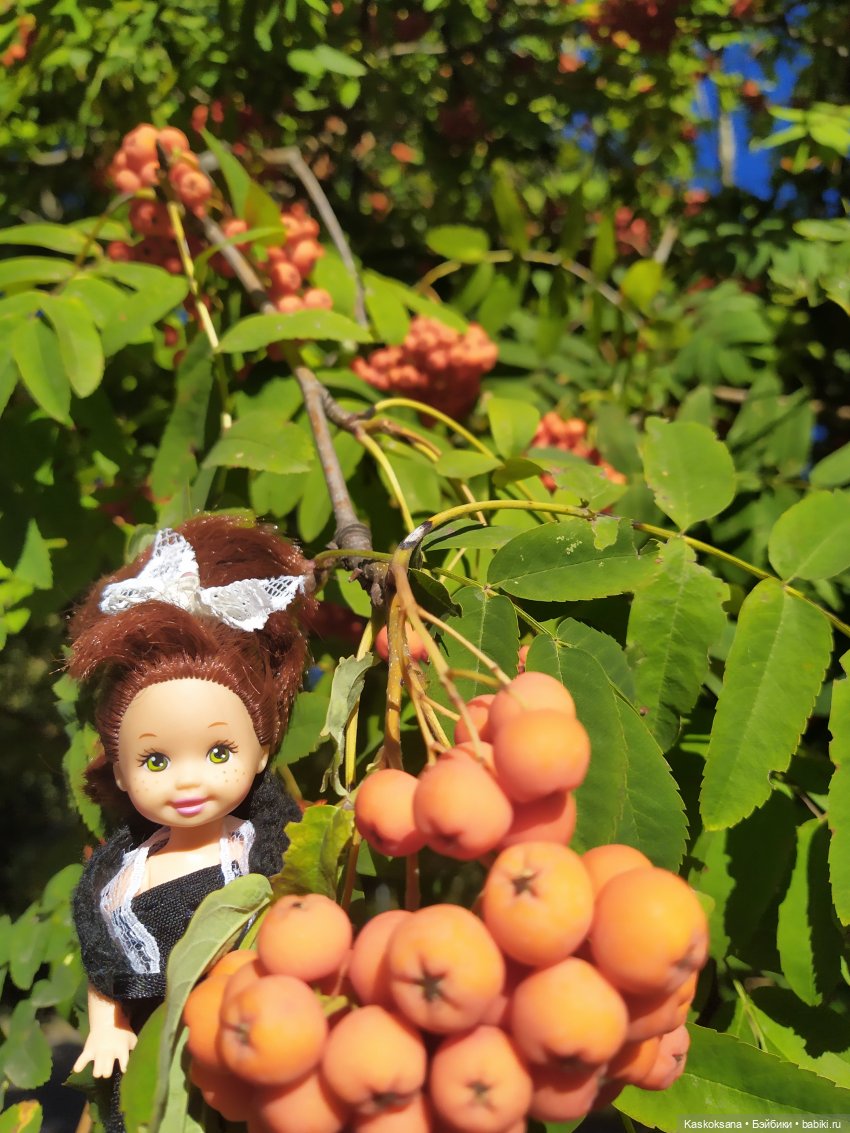 Августа в сентябре — Куклы Kelly (Келли): Сестра Барби