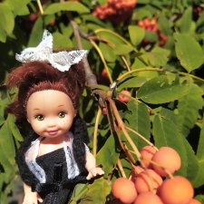 Августа в сентябре