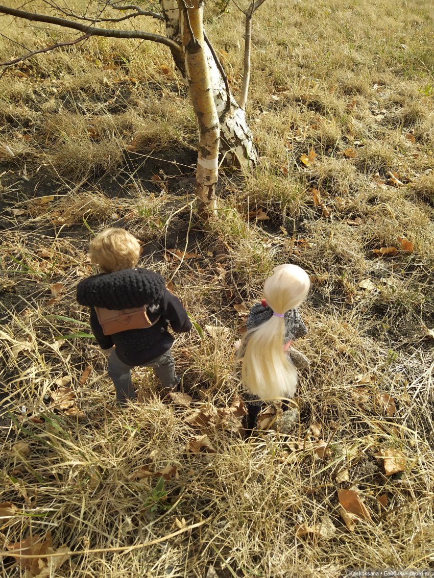 Сказка, про тех, кто пошел в лес по ягоды 31 октября (фото 4)