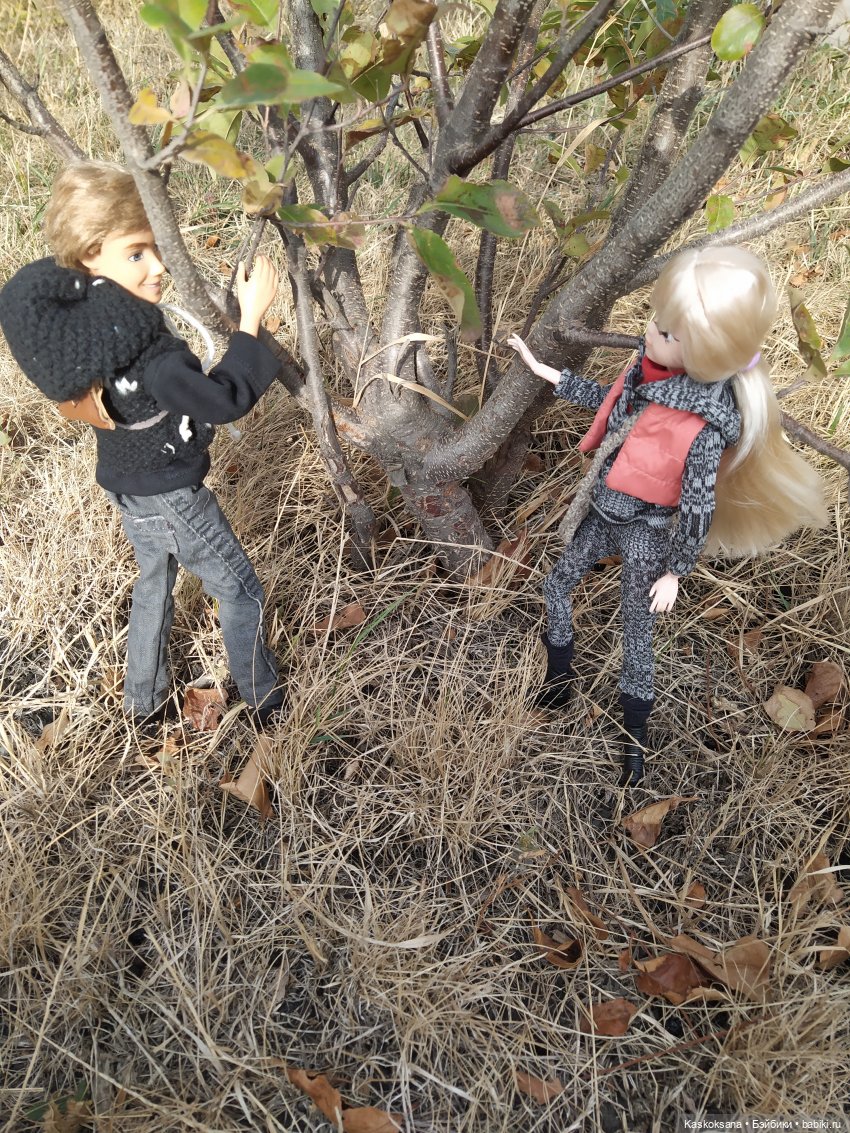 Сказка, про тех, кто пошел в лес по ягоды 31 октября (фото 5)