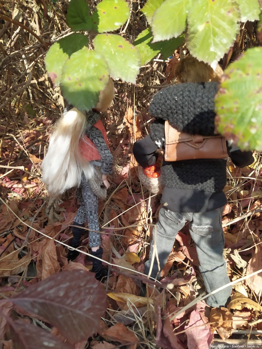 Сказка, про тех, кто пошел в лес по ягоды 31 октября (фото 9)