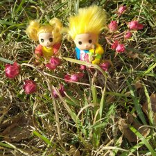 Осень Любимчиков. Солнечная