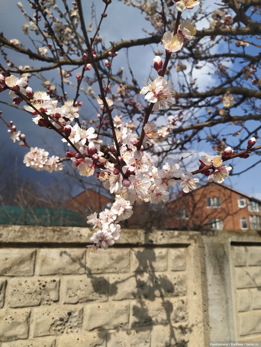 День бэкстейджей DollCi. "Эл+Бэлл" и уличные сьемки