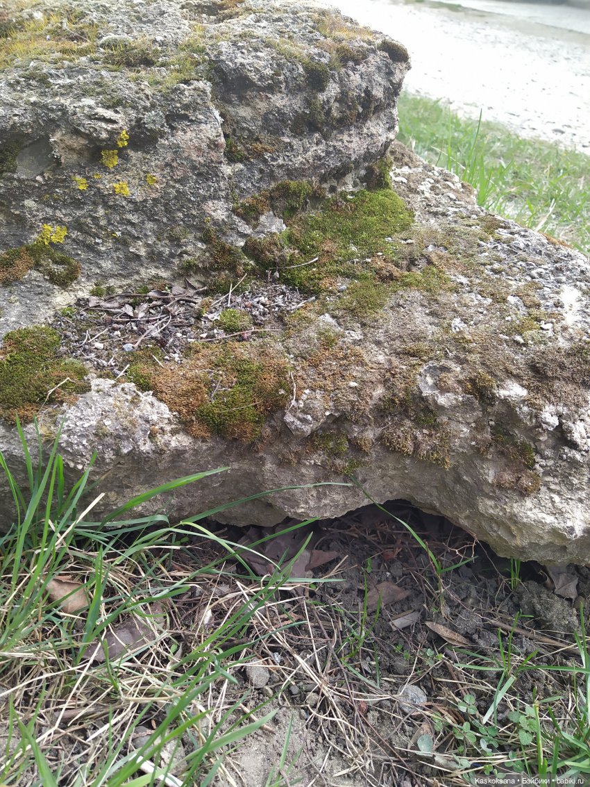 День бэкстейджей DollCi. "Эл+Бэлл" и уличные сьемки