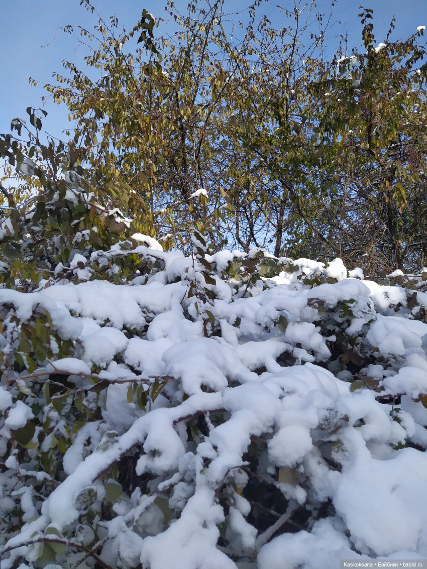 Приглашение в Снежную балку