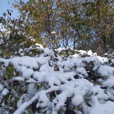 Приглашение в Снежную балку