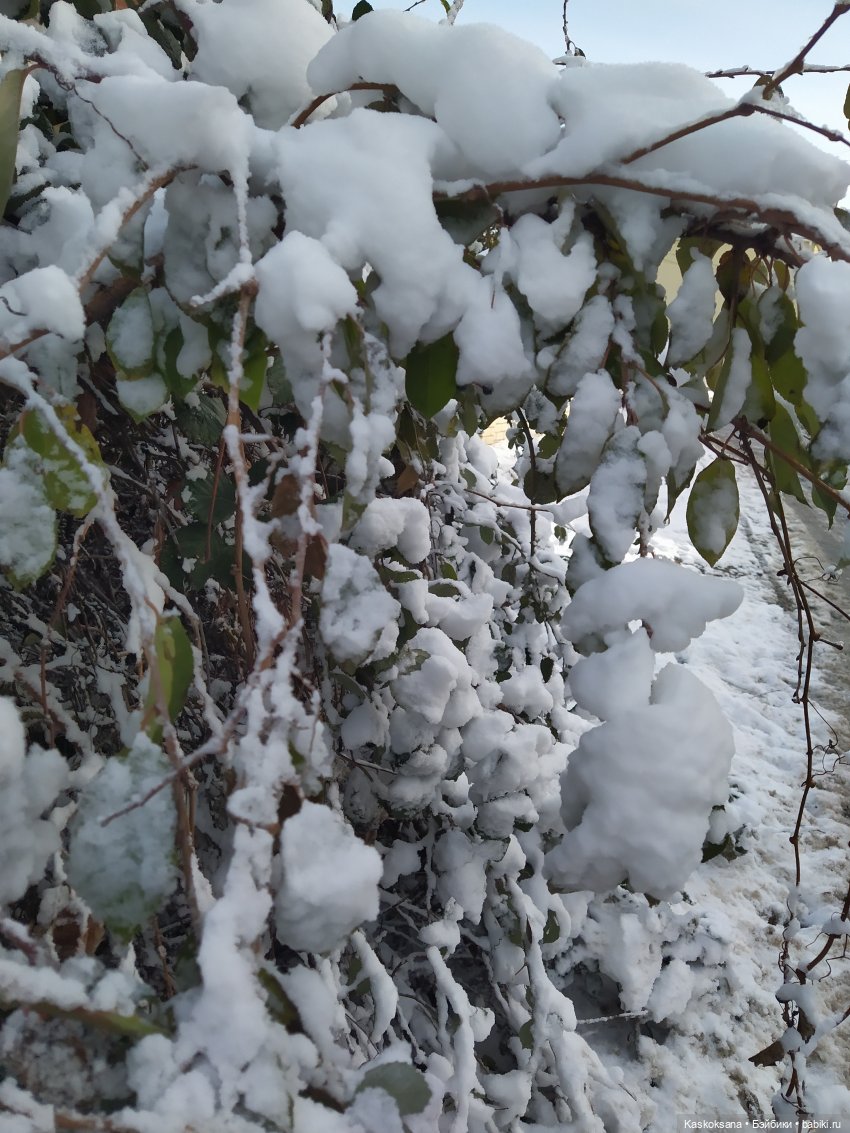 Зимние забавы в Снежной балке (фото 3)