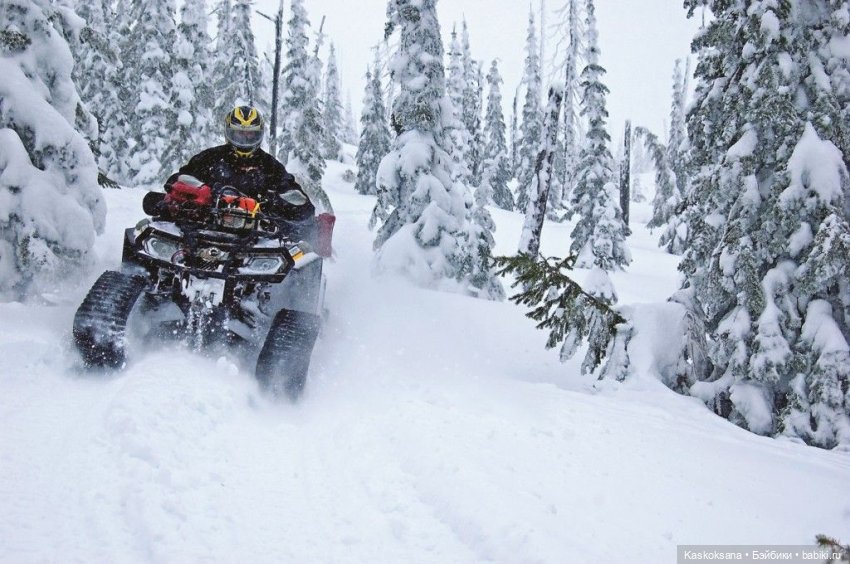 Зимние забавы в Снежной балке
