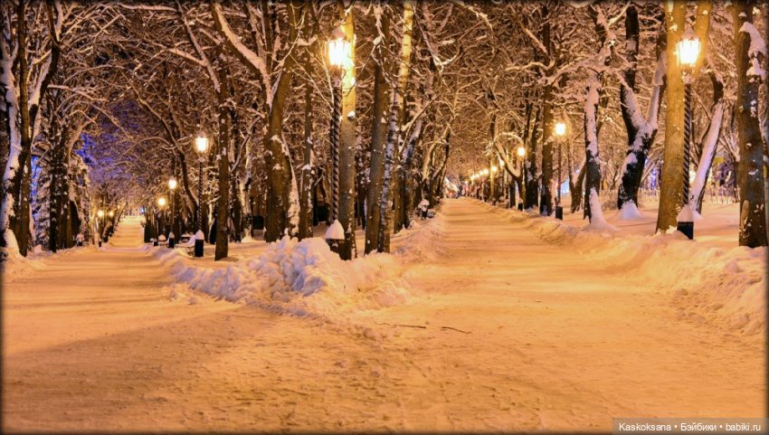 Рождественский вечер в Снежной балке (фото 4)