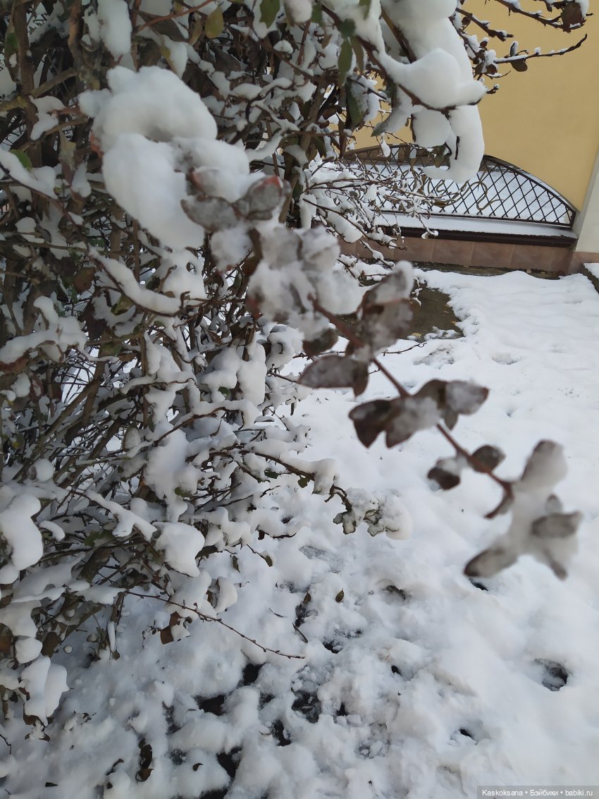 Зимние забавы в Снежной балке (фото 5)