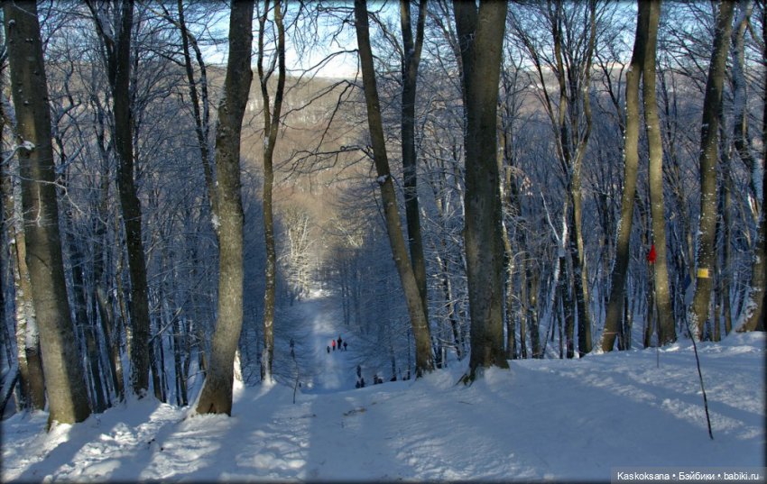 Зимние забавы в Снежной балке