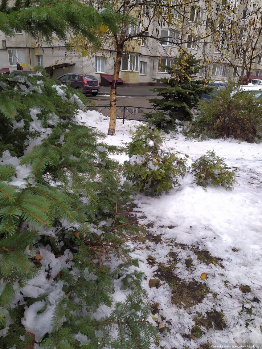 У осени на тлеющем краю. Валентинка | Бэйбики У осени на тлеющем краю. Валентинка