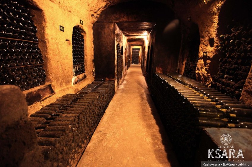 Бьянка Россо. Мисс Барби 2021