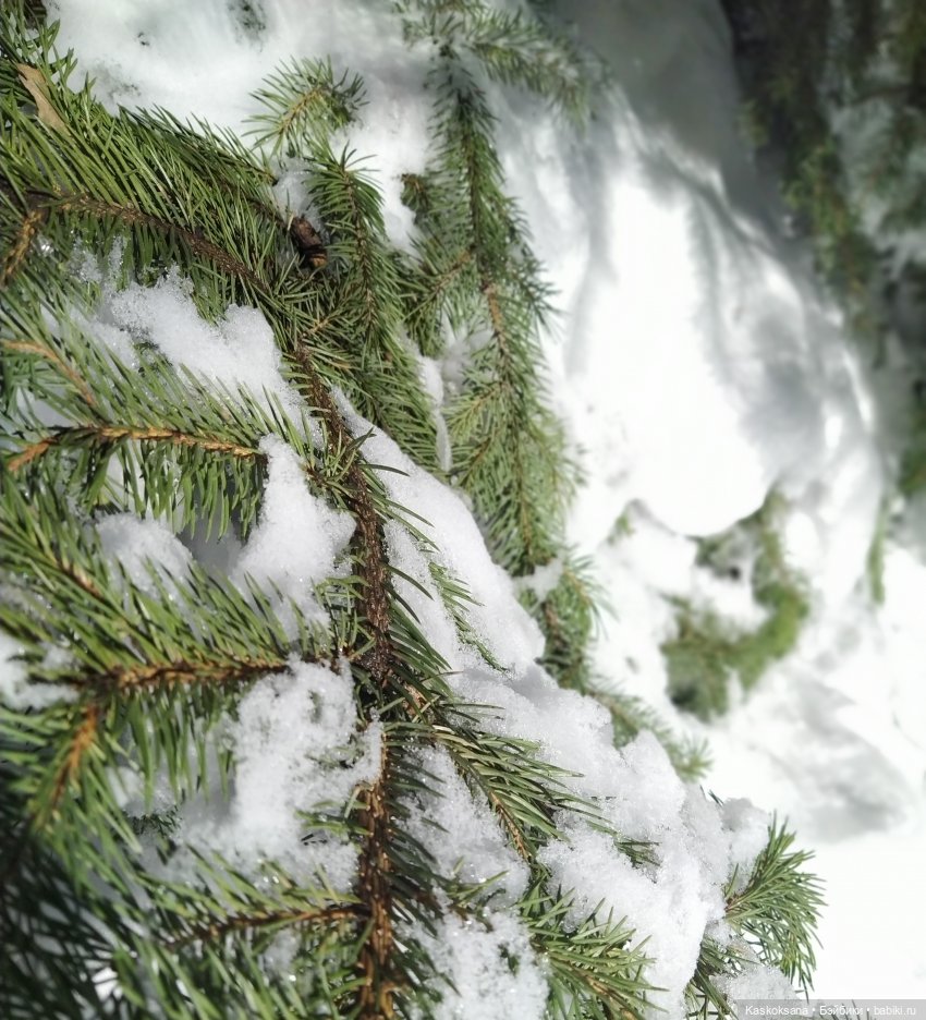 Бьянка Россо. Мисс Барби 2021