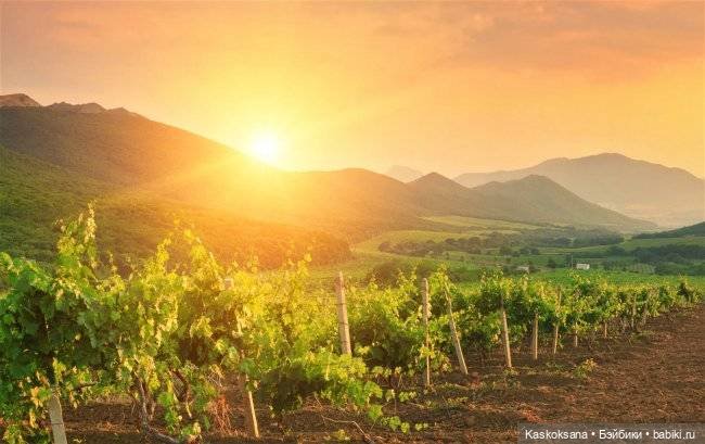 Бьянка Россо. Мисс Барби 2021