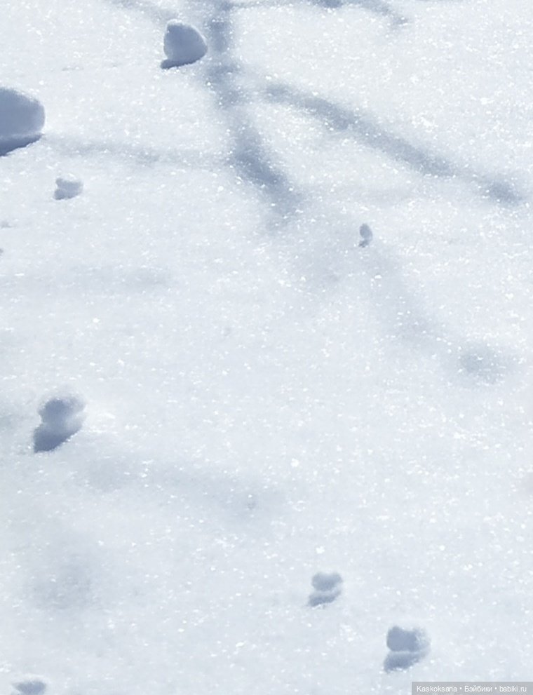 Бьянка Россо. Мисс Барби 2021 (фото 10)