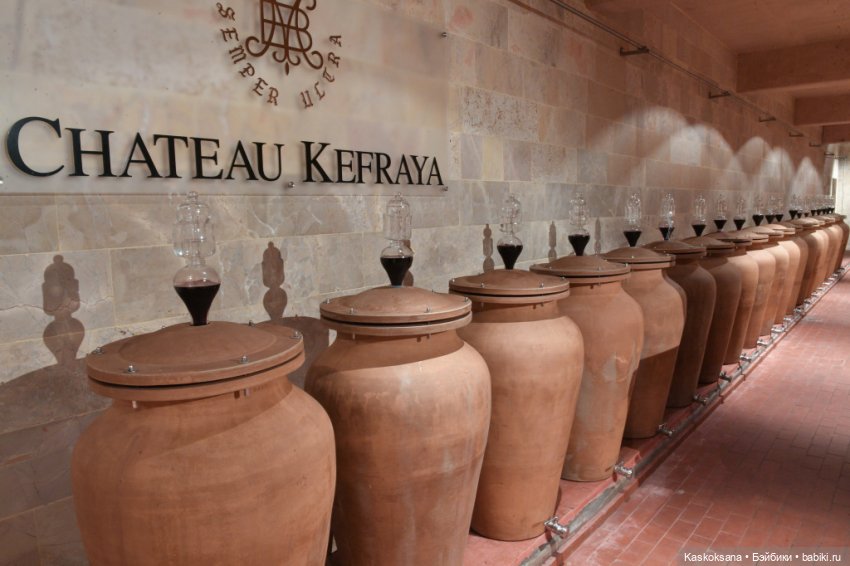 Бьянка Россо. Мисс Барби 2021