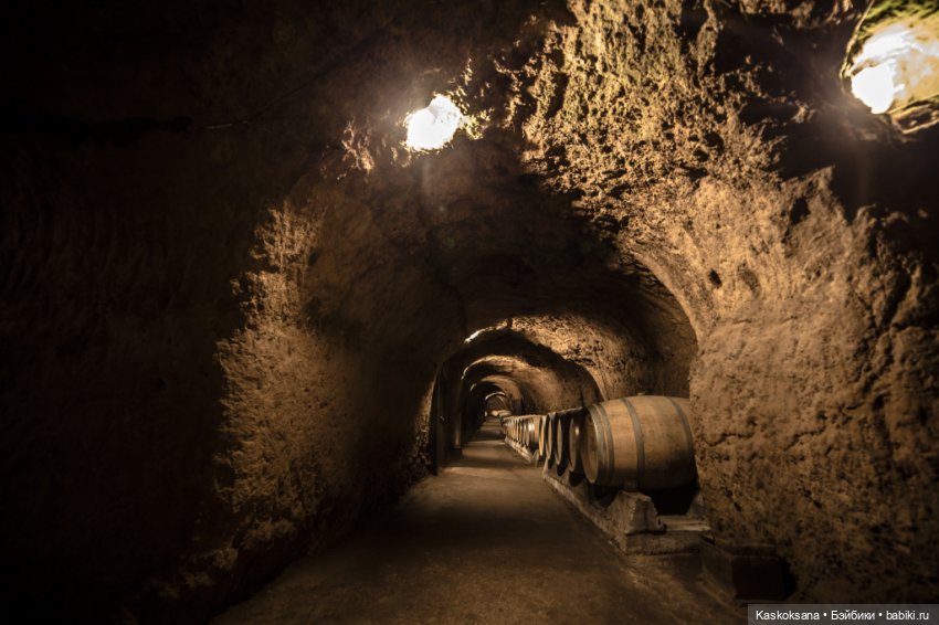 Бьянка Россо. Мисс Барби 2021