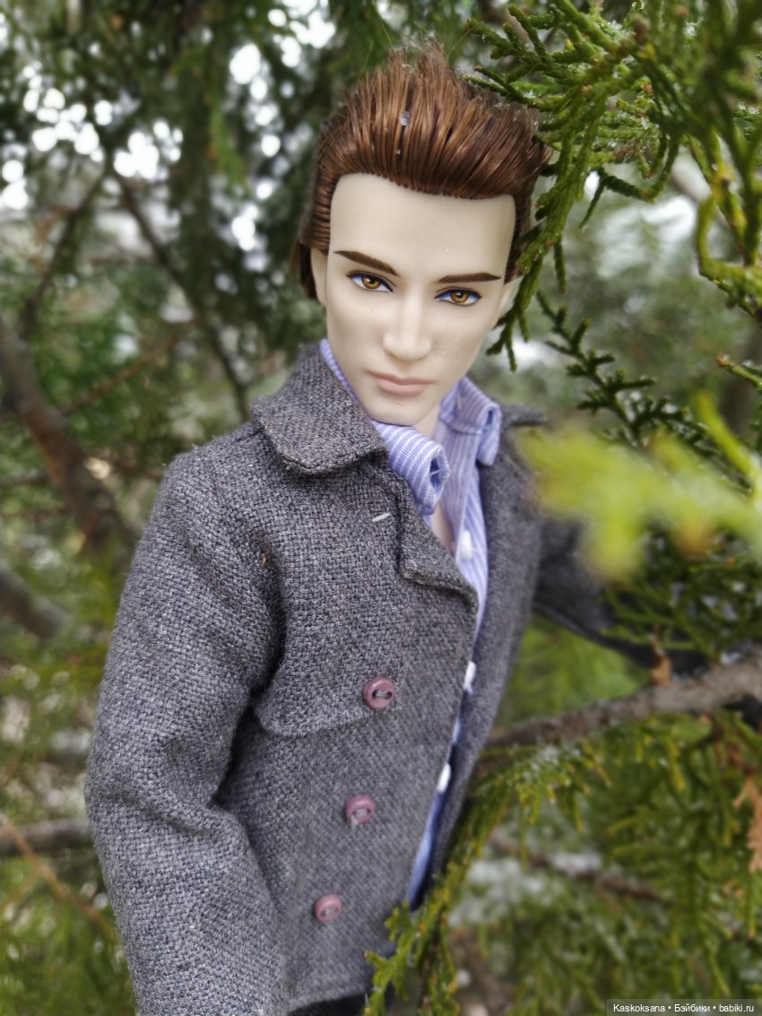 Twilight. Сумерки. Эпизоды (предисловие) (фото 10)