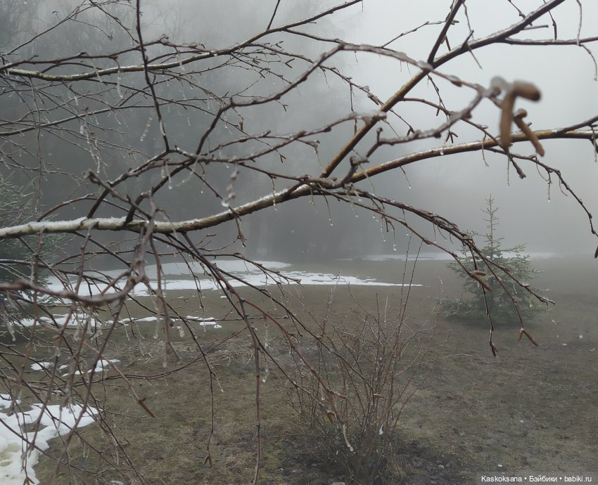 Twilight. Сумерки. Эпизоды (предисловие)