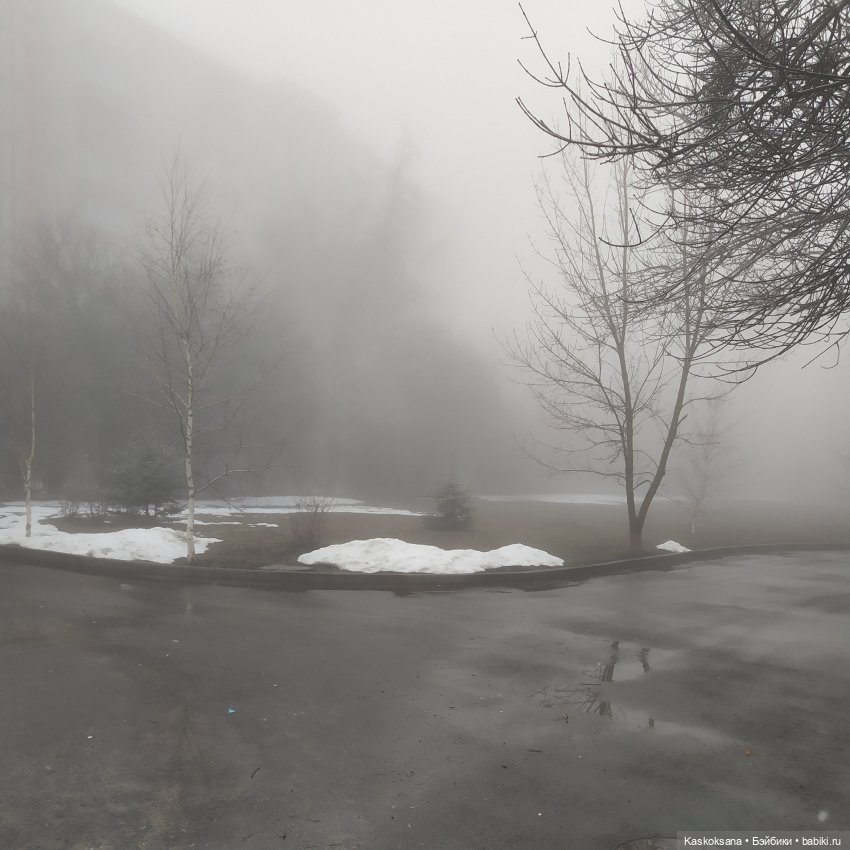 Twilight. Сумерки. Эпизоды (предисловие)