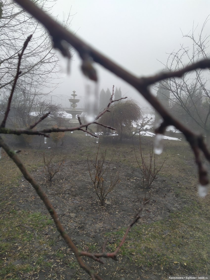 Twilight. Сумерки. Эпизоды (предисловие)