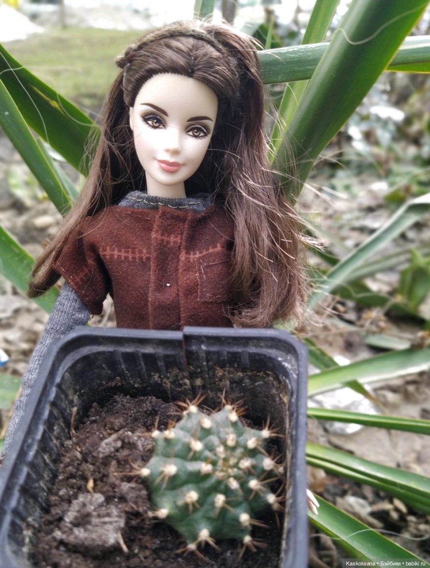 Финикс март. Эпизод 2 Сумерки | Бэйбики Финикс март. Эпизод 2 Сумерки (фото 8)