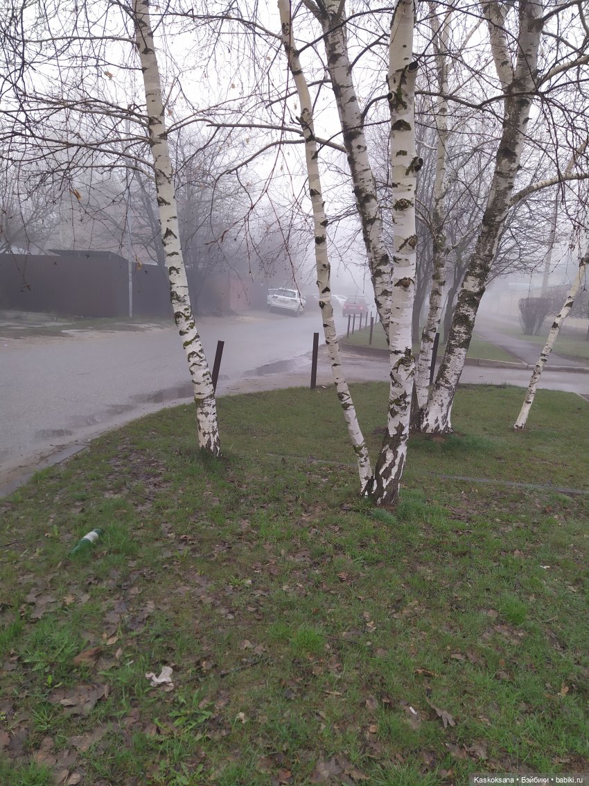 Сумерки. Эпизод 5. Дождь в Форксе