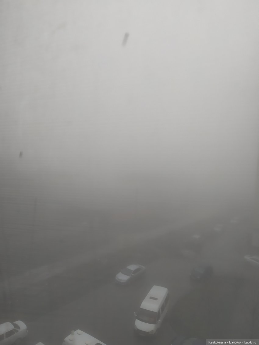 Сумерки. Эпизод 5. Дождь в Форксе