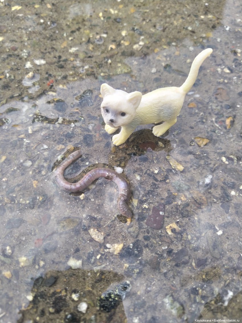 Дождь? Замурррчательно | Бэйбики Дождь? Замурррчательно — Болталка и разговоры обо всем: жизнь (фото 2)